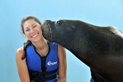 Thomas : Rencontre guidée avec des otaries