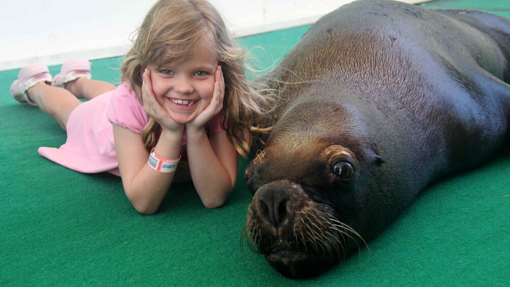 Picture 1 for Activity St. Thomas: Guided Sea Lion Encounter