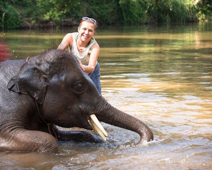 Picture 1 for Activity luxury Chitwan Jungle safari 4 days tour