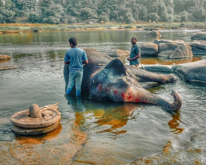 Picture 9 for Activity luxury Chitwan Jungle safari 4 days tour