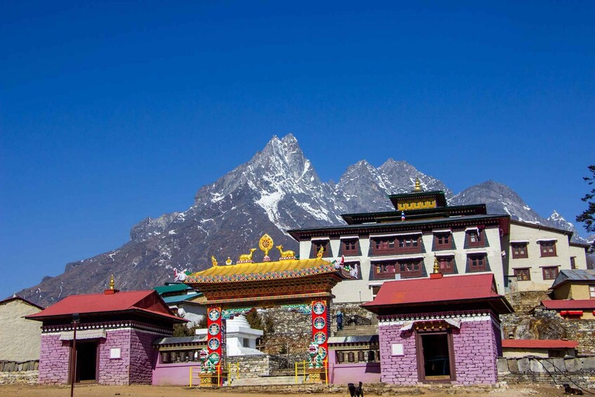 Picture 1 for Activity 2 weeks Buddhist Monastery Retreats in Tengboche Nepal