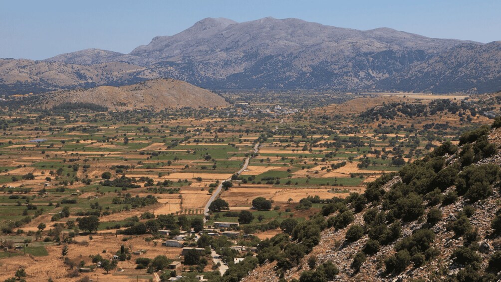 Picture 15 for Activity Lasithi Plateau, the legendary Zeus Cave & Olive Oil Farm