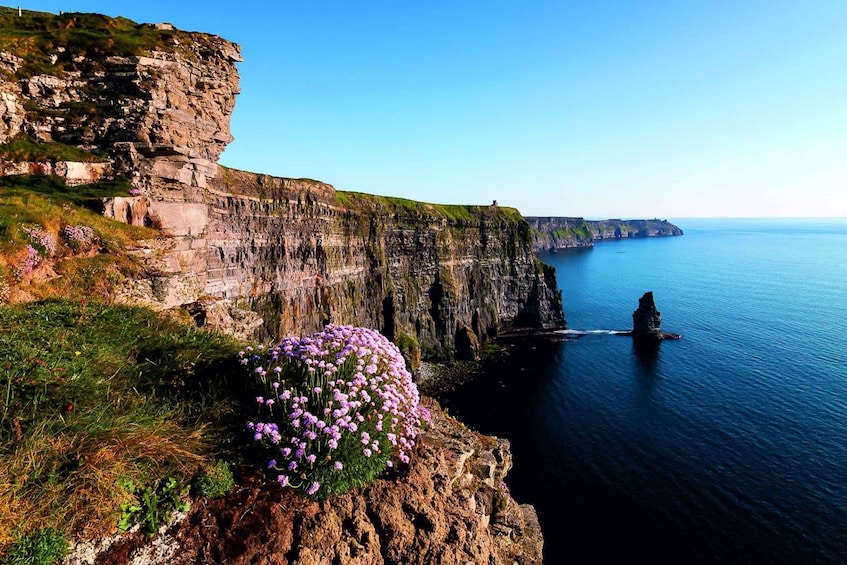 Picture 1 for Activity Cliffs of Moher Full-Day Tour from Limerick