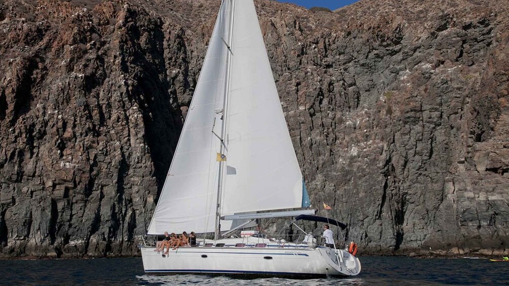 From Los Gigantes: Whale Watching Sailboat Cruise