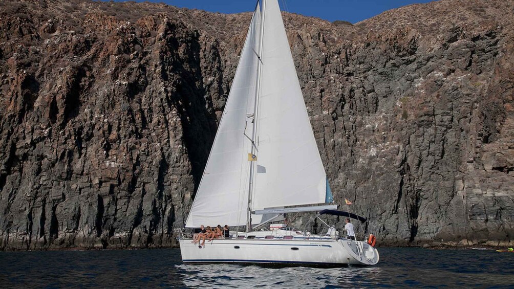 From Los Gigantes: Whale Watching Sailboat Cruise