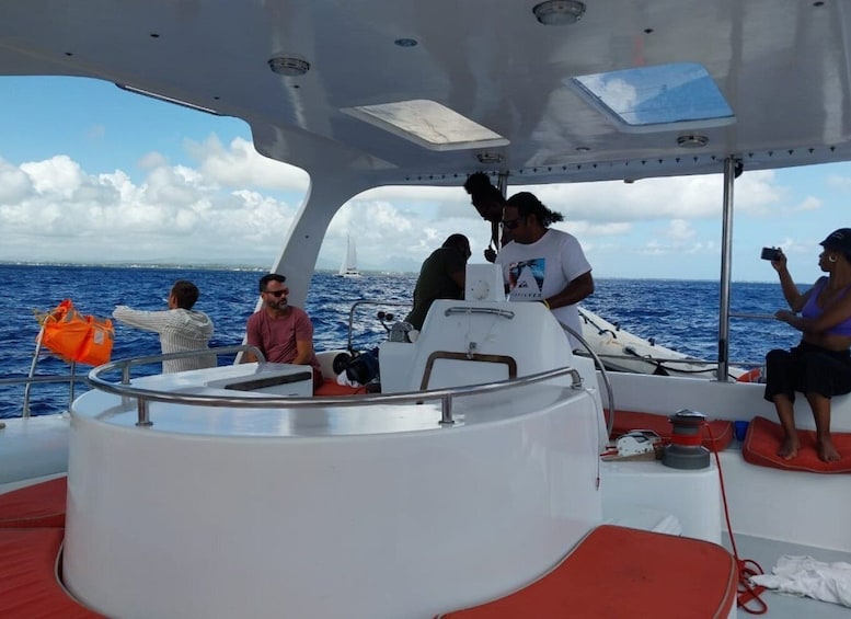 Picture 12 for Activity Grand Bay: Catamaran Cruise to Flat Island with BBQ Lunch
