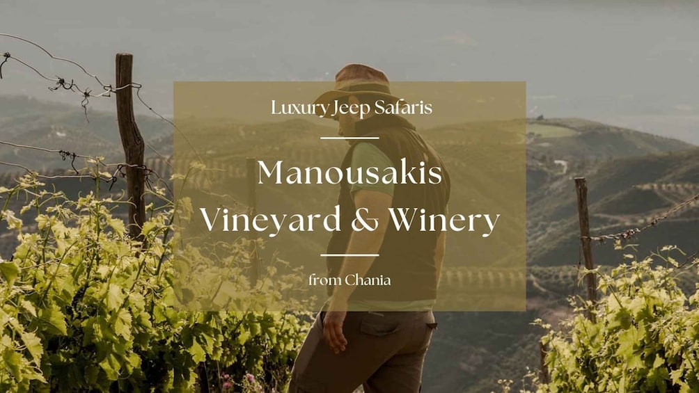 Chania Luxury Jeep Safaris: Manousakis Vineyard & Winery