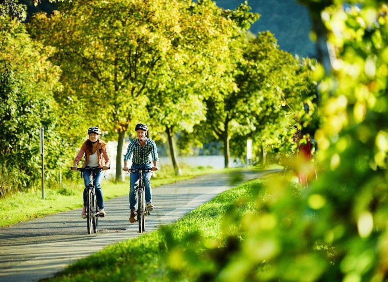 Mosel: Bike and Boat Tour with Picnic and Wine Tasting