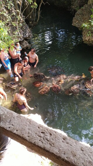 Picture 5 for Activity Mnemba Island: Dolphin Tour And Snorkeling at Mnemba Island.