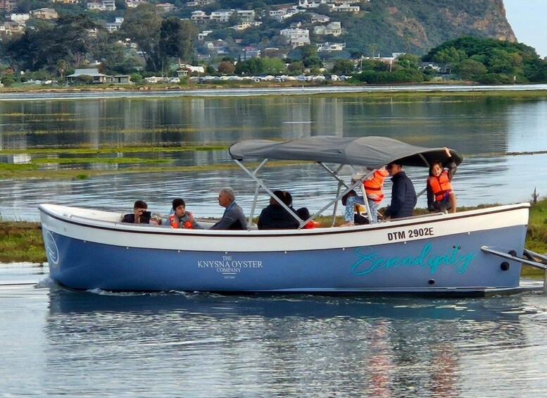 Picture 6 for Activity 75 Minute Knysna Lagoon Charter