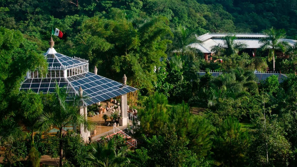 Puerto Vallarta: Vallarta Botanical Garden Entry Ticket