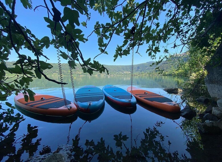 Picture 2 for Activity Lake Nemi: SUP Course and Food Tasting at the Lake