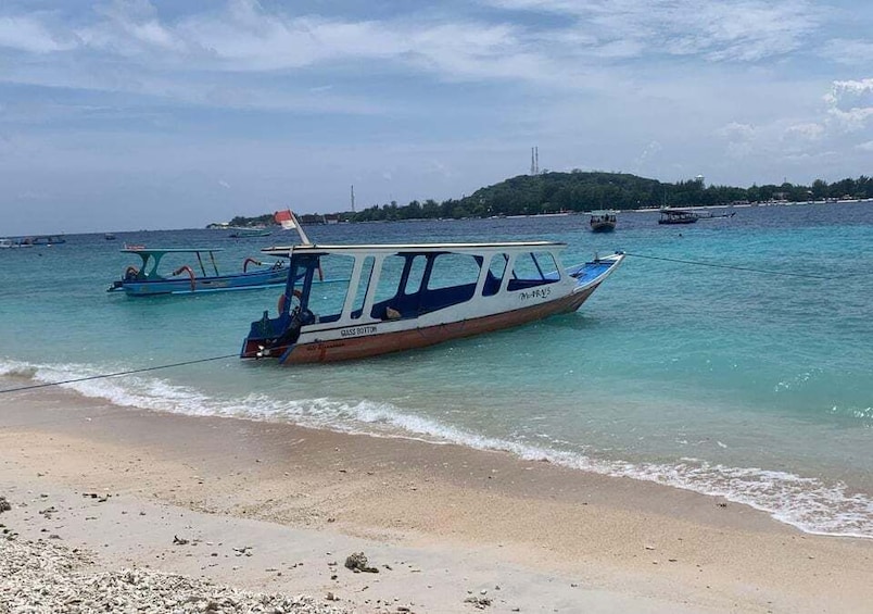 Picture 10 for Activity Bali: 3-Day Private Gili Islands Snorkel Tour with Hotel