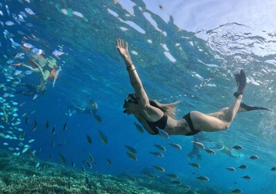 Bali: tour privado de esnórquel de 3 días por las islas Gili con hotel