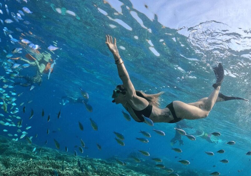 Picture 9 for Activity Bali: 3-Day Private Gili Islands Snorkel Tour with Hotel