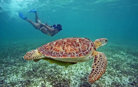 From Bali: Private 3-Day Gili Islands Tour with Snorkelling