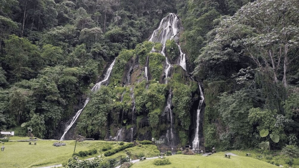 Picture 2 for Activity Tour Santa Rosa hot springs from Pereira, Armenia or Salento