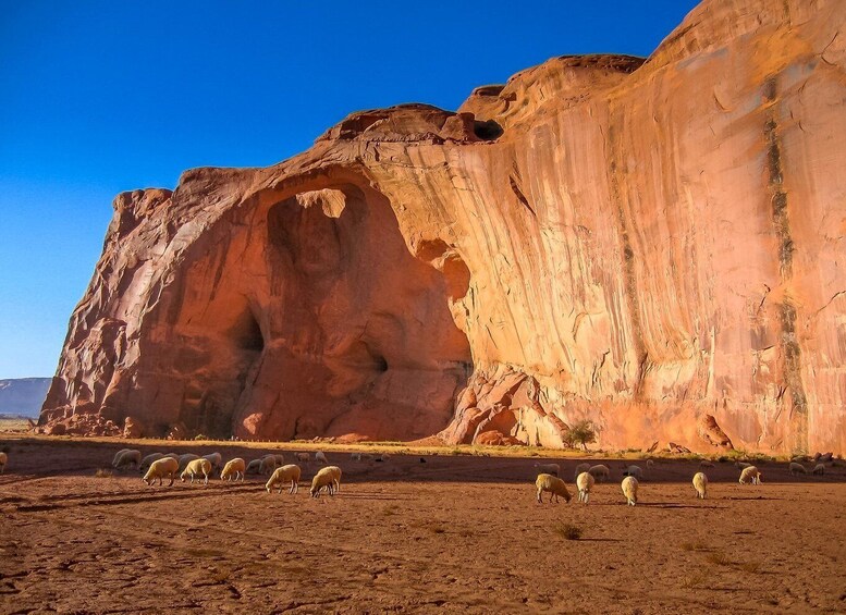 Picture 2 for Activity Monument Valley 4x4 Navajo Guided Tour