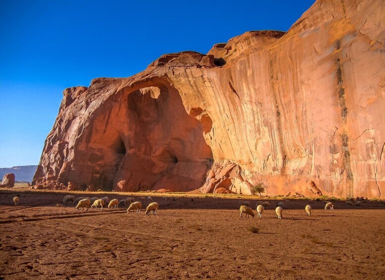 Picture 2 for Activity Monument Valley 4x4 Navajo Guided Tour