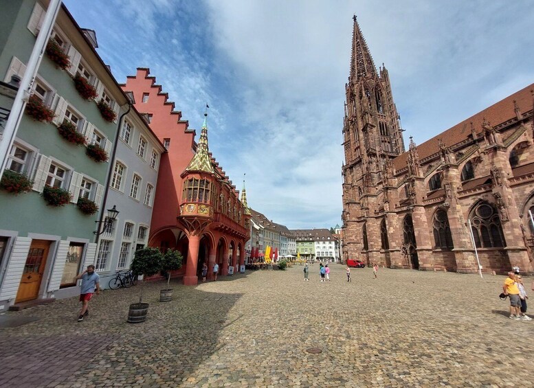 Picture 9 for Activity Freiburg: Walking and Strolling the Historic Center