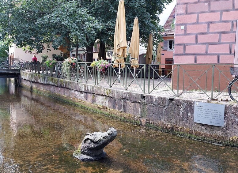 Picture 4 for Activity Freiburg: Walking and Strolling the Historic Center