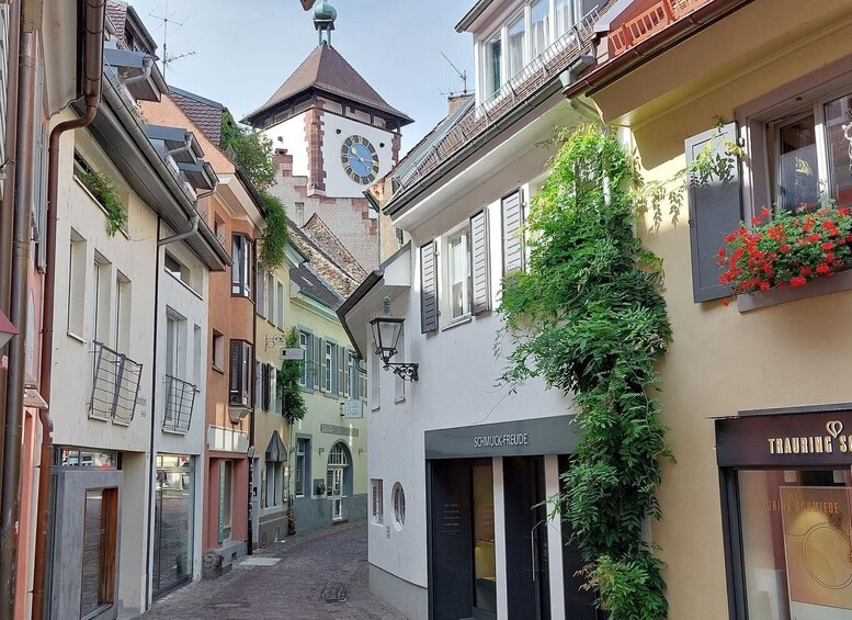 Picture 3 for Activity Freiburg: Walking and Strolling the Historic Center