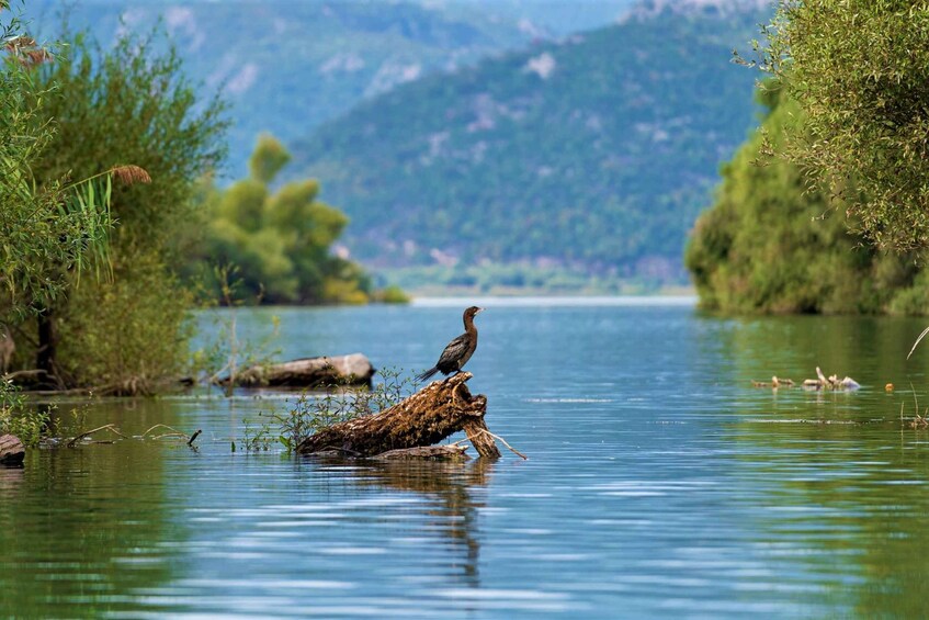 Picture 3 for Activity Panoramic Boat Tour to Vranjina Monastery & Wine Tasting