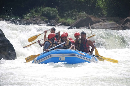 De Colombo: excursion d'une journée en rafting à Kitulgala