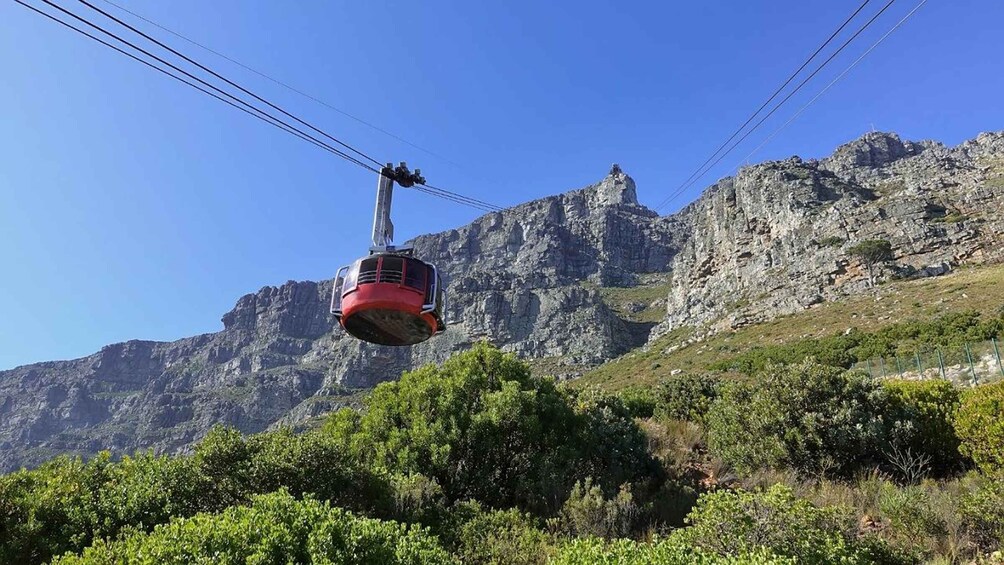 Picture 4 for Activity 3-Day Private Tour: Good Hope Table Mountain & Robben Island