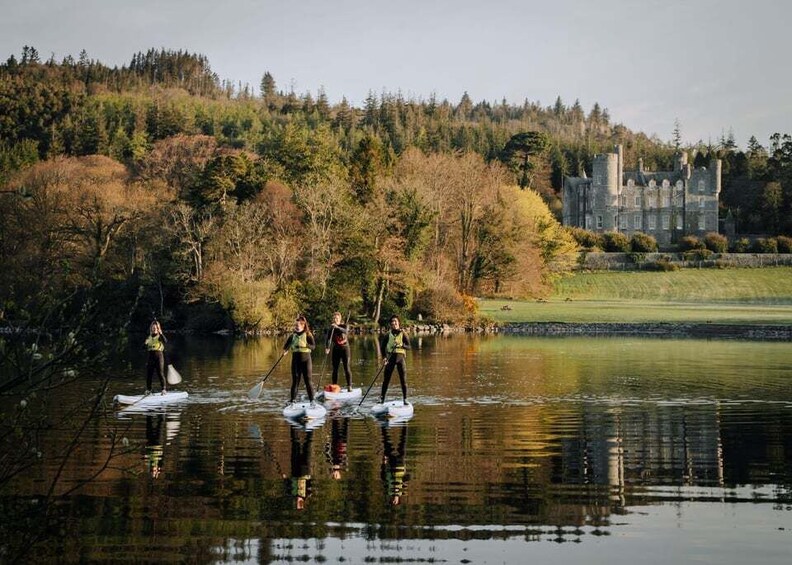 From Belfast: Stand Up Paddleboarding Experience