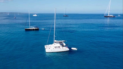 Sailing tour from Ibiza to Formentera
