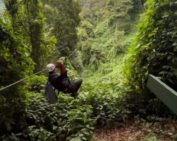 Del centro a las copas de los árboles: combinación de naturaleza urbana y t...