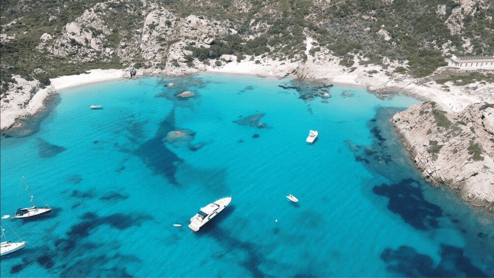 From Santa Teresa Gallura: La Maddalena Full-Day Boat Tour