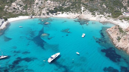 From Santa Teresa Gallura: La Maddalena Full-Day Boat Tour