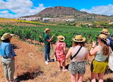 Malaga: White Village, Vineyard, and Wine Tasting Wine Tour