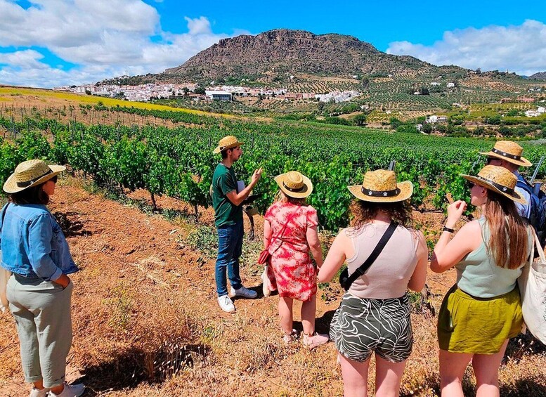 Malaga: White Village, Vineyard, and Wine Tasting Wine Tour