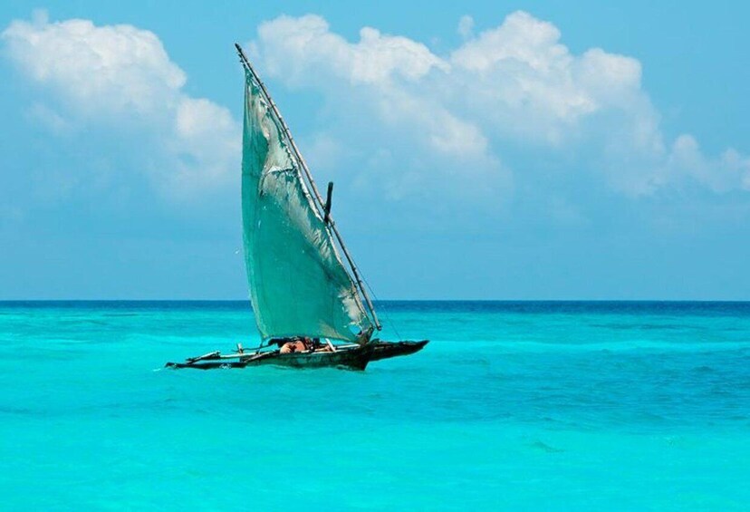 Picture 4 for Activity Zanzibar : 1 Day Blue Safari, Blue horizon experience