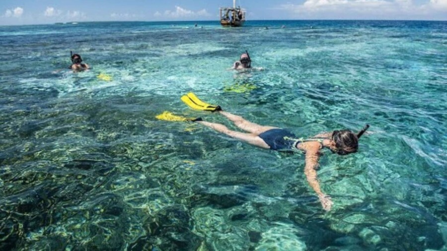 Zanzibar : Blue Safari
