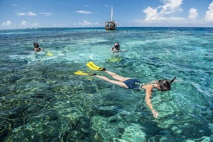 Zanzibar : 1 Day Blue Safari, Blue horizon experience