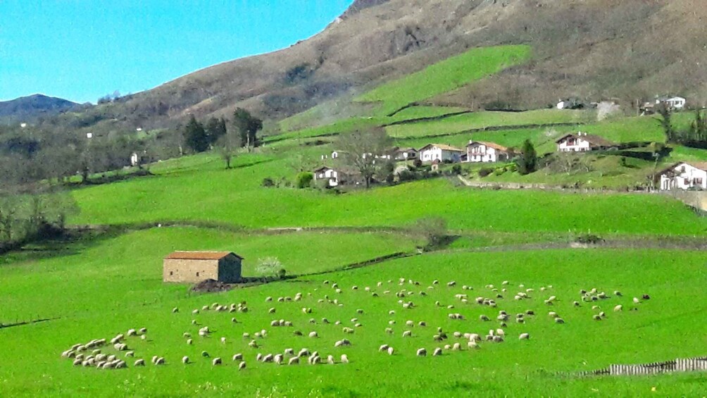 Picture 7 for Activity From San Sebastian: French-Basque Countryside Private Tour