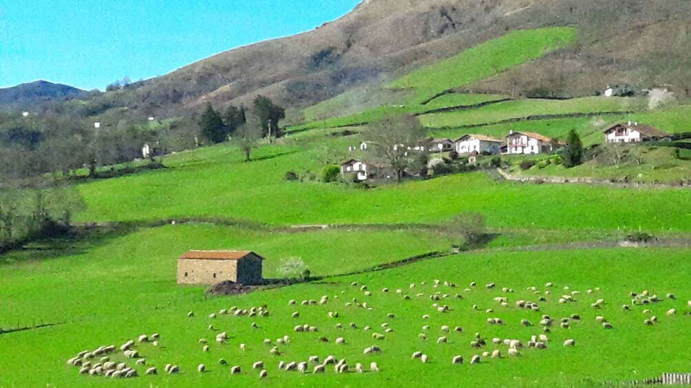 Picture 7 for Activity From San Sebastian: French-Basque Countryside Private Tour