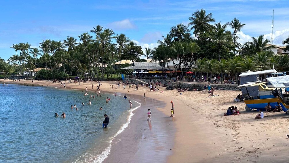 Picture 18 for Activity From Salvador: Praia do Forte & Guarajuba Beach Daytrip