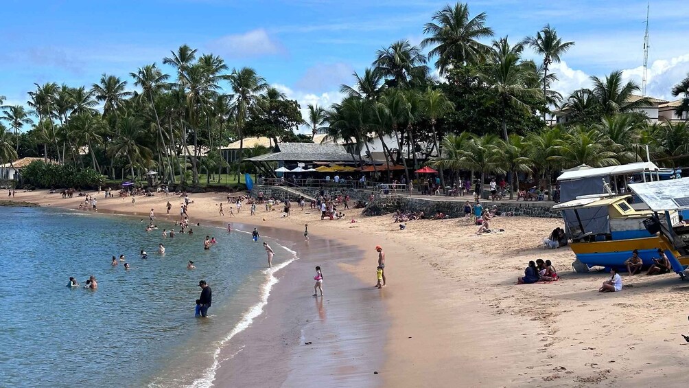 Picture 18 for Activity From Salvador: Praia do Forte & Guarajuba Beach Daytrip