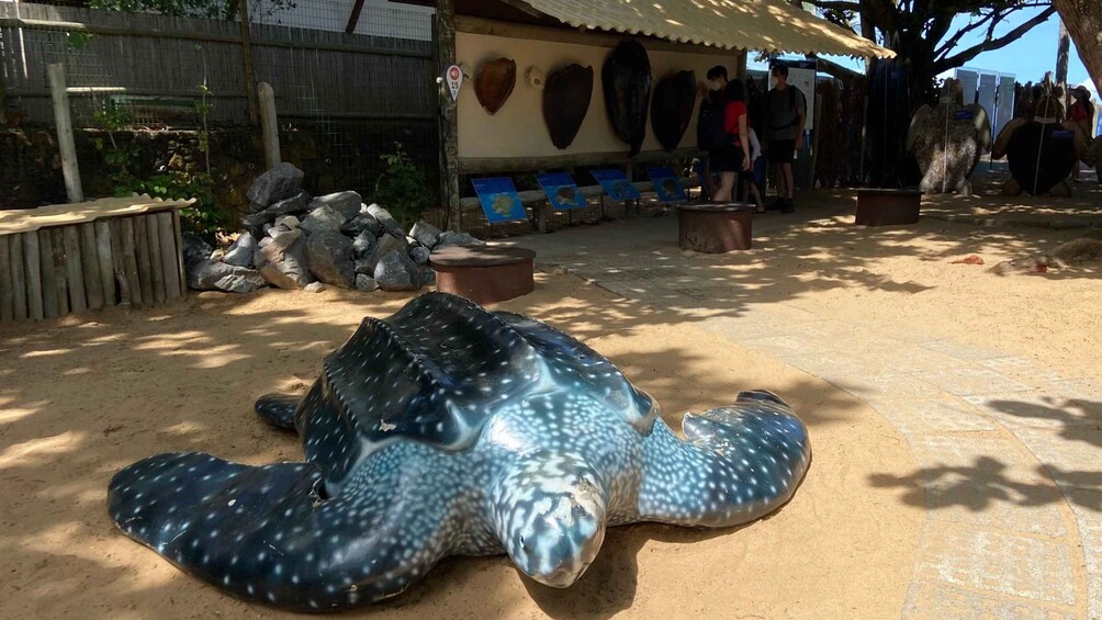 Picture 7 for Activity From Salvador: Praia do Forte & Guarajuba Beach Daytrip