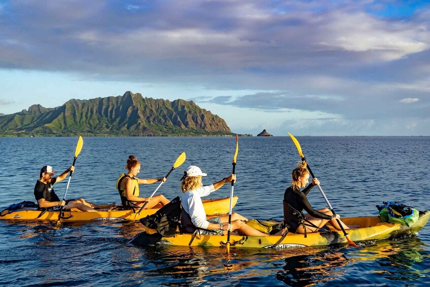 Picture 3 for Activity Oahu: Kaneohe Bay Coral Reef Kayaking Rental