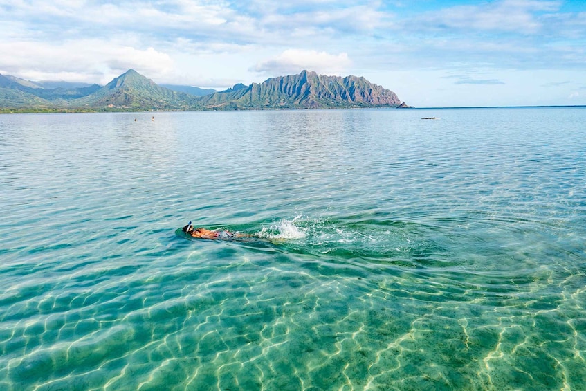 Picture 5 for Activity Oahu: Kaneohe Bay Coral Reef Kayaking Rental