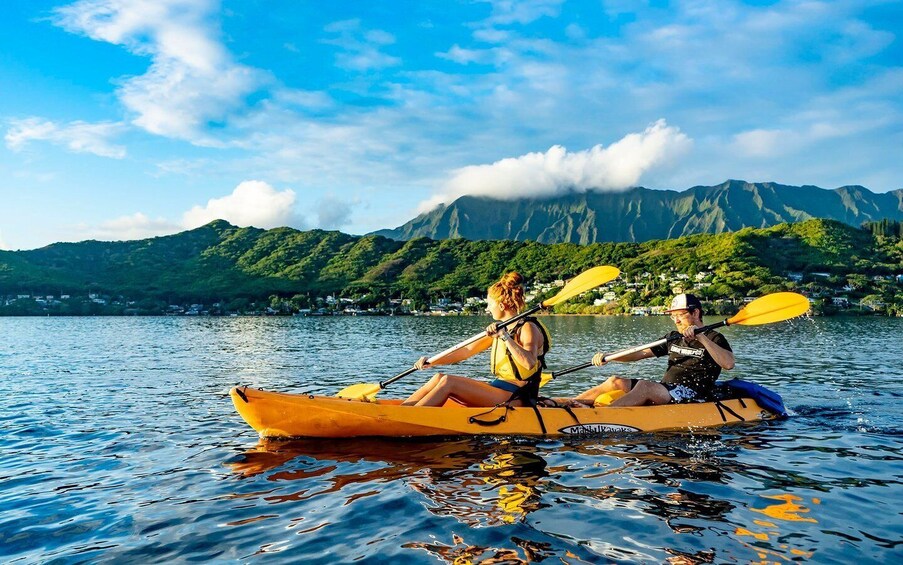 Picture 2 for Activity Oahu: Kaneohe Bay Coral Reef Kayaking Rental