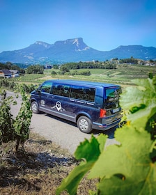 Wine Tour with private driver - 10 hours