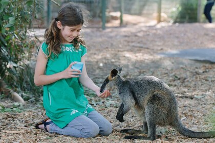 Featherdale Wildlife Park Generel adgangsbillet