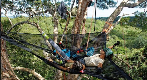 3-stündige Baumkletteraktivität im Amazonas-Dschungel